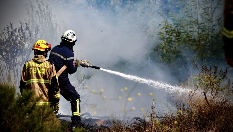 Protocolos de ingreso a Bomberos y Conaf en la mira tras detenciones por megaincendio: piden exámenes psicológicos permanentes