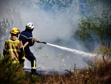 Protocolos de ingreso a Bomberos y Conaf en la mira tras detenciones por megaincendio: piden exámenes psicológicos permanentes