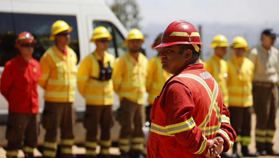 Central de Incendios de Conaf en Valparaíso fue víctima de un robo: Diputado Lagomarsino tilda el hecho de "muy sospechoso"