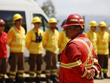 Central de Incendios de Conaf en Valparaíso fue víctima de un robo: Diputado Lagomarsino tilda el hecho de "muy sospechoso"