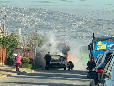 Incendio destruye microbús de la locomoción colectiva en cerro Los Placeres de Valparaíso