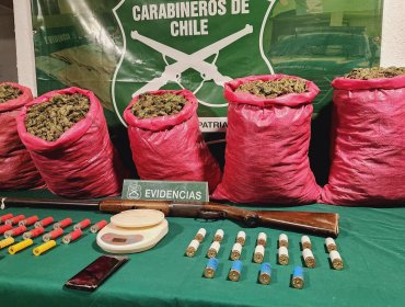 Dulce incautación en La Ligua: Cae banda con 49 kilos de marihuana en su poder