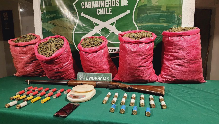 Dulce incautación en La Ligua: Cae banda con 49 kilos de marihuana en su poder