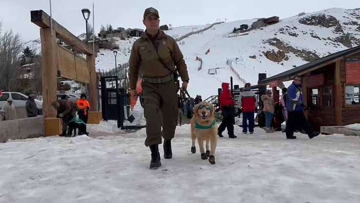 Carabineros prepara operativo especial en Farellones para temporada de invierno