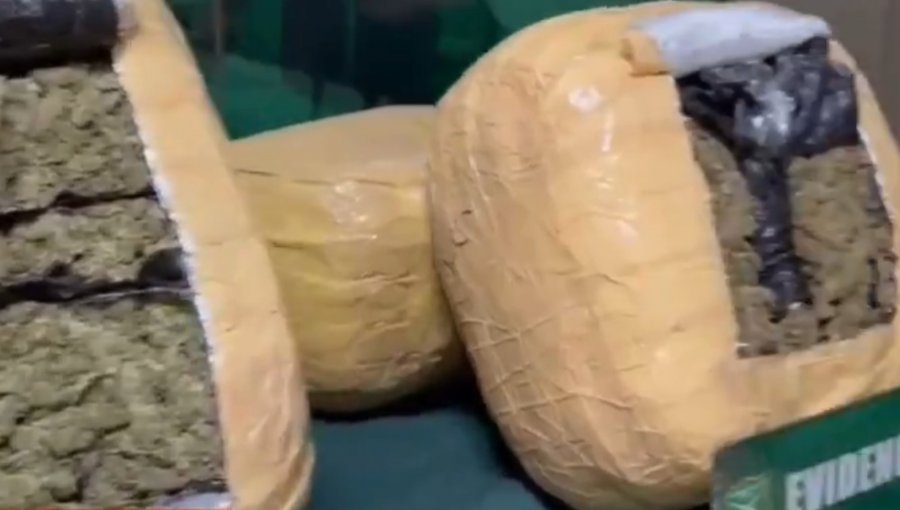 Hallan 85 kilos de marihuana en bus interprovincial en Nogales