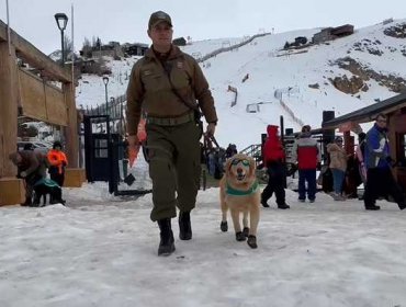 Carabineros prepara operativo especial en Farellones para temporada de invierno