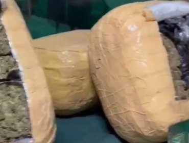 Hallan 85 kilos de marihuana en bus interprovincial en Nogales