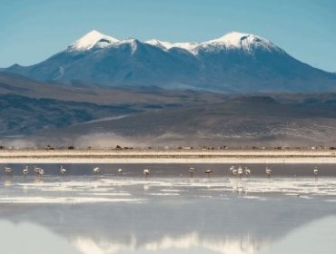 Empresa asiática Tianqi critica acuerdo entre Codelco y SQM por explotación del litio en el salar de Atacama