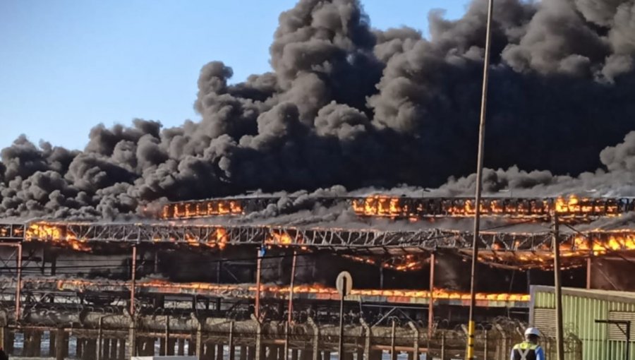 Reabren investigación por incendio industrial del 2022 en correa de Puerto Ventanas