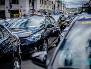 Confirman nuevo proceso de postulación al programa "Renueva tu colecitvo" en la región de Valparaíso