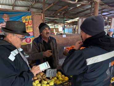 Operativo de fiscalización en la feria El Belloto de Quilpué permitió detener a cuatro personas y retirar seis automóviles