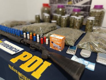 Incautan más de 4 kilos de marihuana en procedimiento antinarcóticos de la PDI en Putaendo: sujeto de 24 años fue detenido