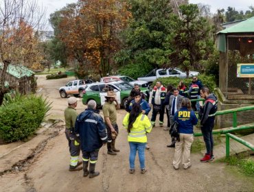 Una veintena de ciervos y dos pavos reales fueron hallados muertos en el ex Zoo de Quilpué: habrían sido atacados por perros