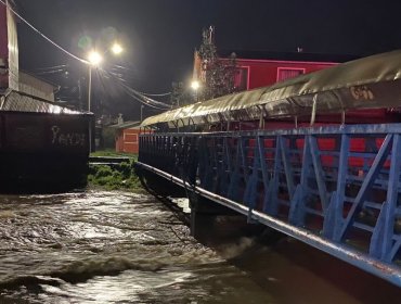 Por desborde del río Pichilo: Solicitan evacuar cuatro sectores de la comuna de Arauco