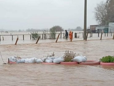 Solicitan evacuar sectores de la comuna de Arauco en la región del Biobío por amenaza de aluvión