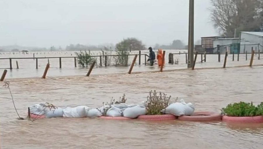 Solicitan evacuar sectores de la comuna de Arauco en la región del Biobío por amenaza de aluvión
