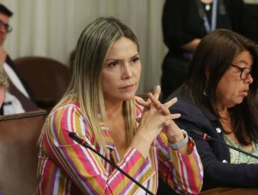 Diputada Pérez se baja de la gira presidencial por Europa para volver a Biobío debido al sistema frontal