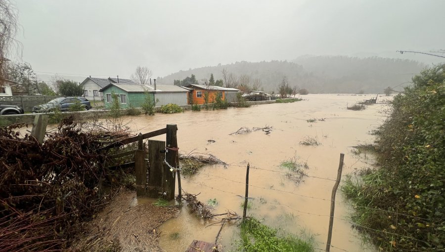 Más de un millar de agricultores se encuentran afectados por el paso del temporal en la región del Biobío