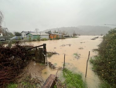 Más de un millar de agricultores se encuentran afectados por el paso del temporal en la región del Biobío