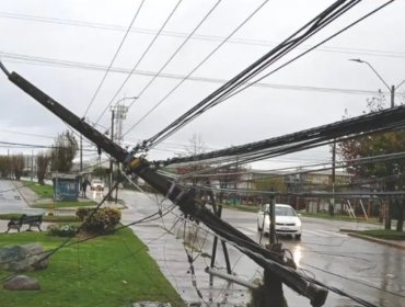 Poste del alumbrado público se parte en dos y mantiene en alerta a vecinos de Miraflores Alto en Viña del Mar