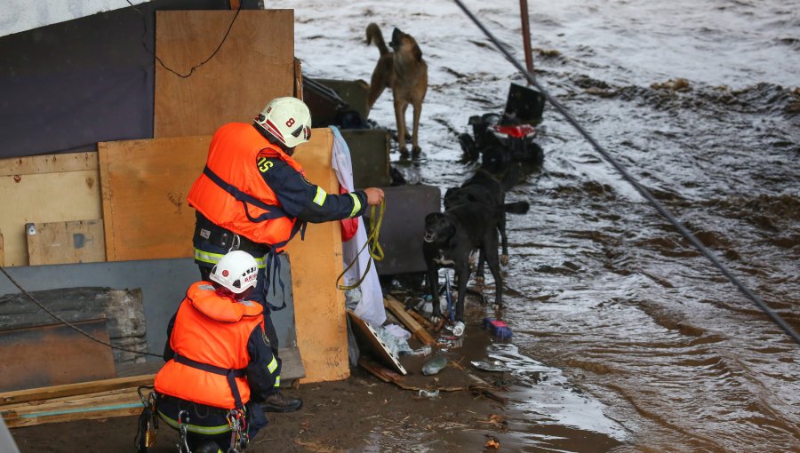 Rescatan a familia y sus mascotas desde el río Mapocho tras quedar atrapados por aumento del caudal