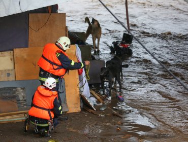 Rescatan a familia y sus mascotas desde el río Mapocho tras quedar atrapados por aumento del caudal