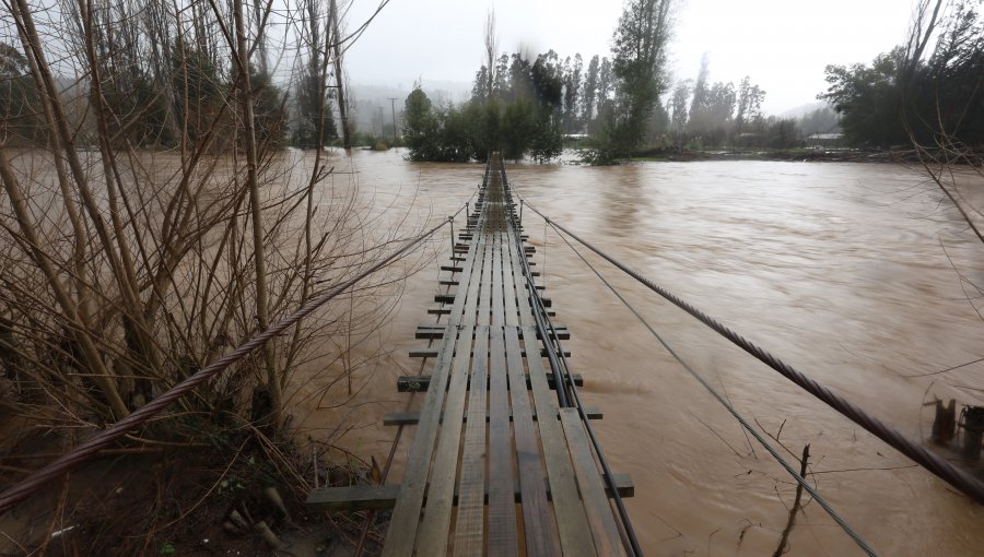 Gobierno declara Estado de Emergencia Agrícola en la región del Biobío tras daños por sistema frontal