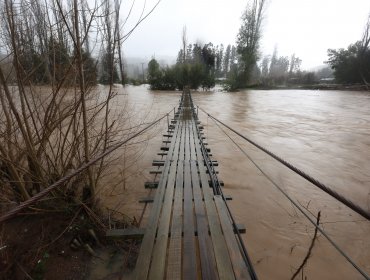 Gobierno declara Estado de Emergencia Agrícola en la región del Biobío tras daños por sistema frontal