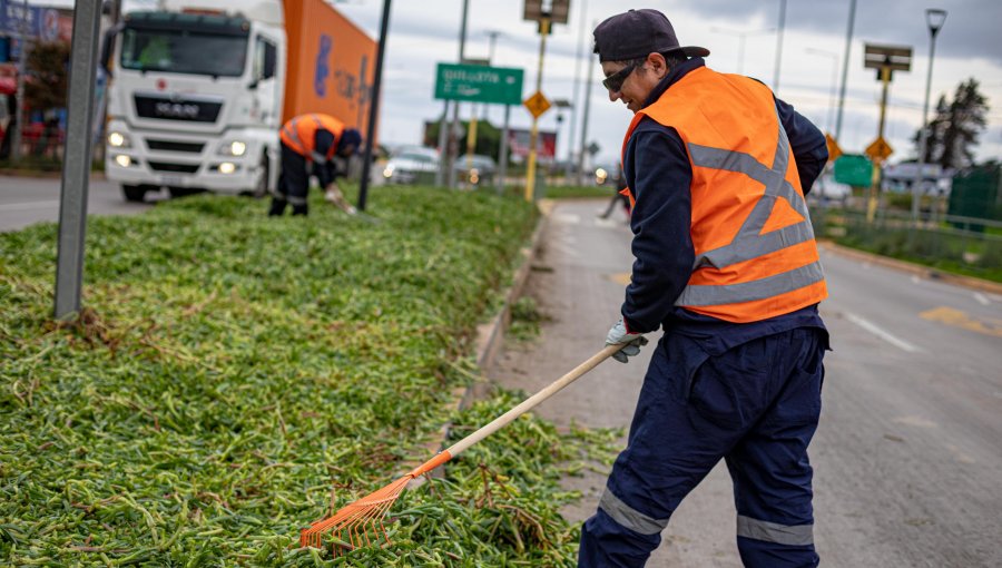 Mantienen labores preventivas en Concón ante nuevas lluvias en la zona central