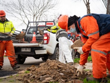 Municipio de Quilpué implementa medidas preventivas ante próximo sistema frontal