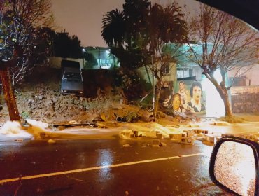 Derrumbes de muros, cortes de ruta y calles anegadas se registran en Valparaíso a raíz de las lluvias