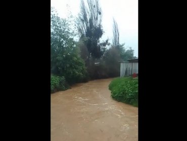 Solicitan evacuar el sector San Pedro El Baden de la comuna de Quillota por desborde de estero