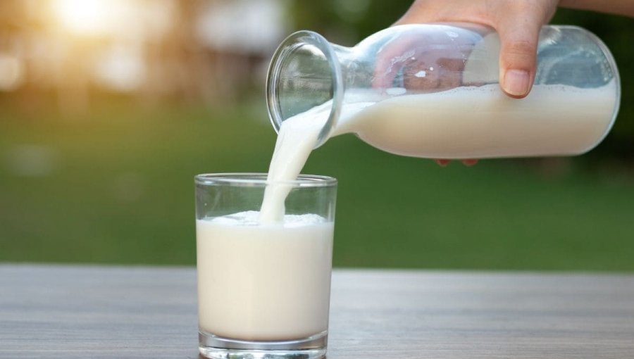 Precio promedio de la leche alcanza su nivel más alto desde que existe registro en Chile