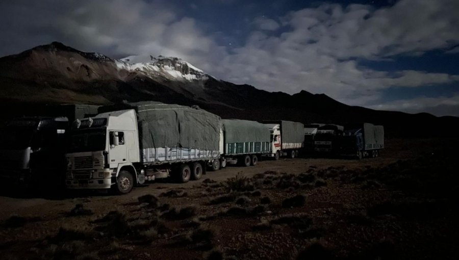 Operativo del Ejército y Carabineros evitó contrabando de especies en frontera con Bolivia: 16 detenidos y 13 camiones incautados