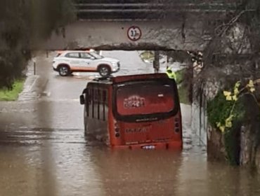 ¡Otra vez! Micro con pasajeros queda atrapada en inundado paso bajo nivel de Quilpué