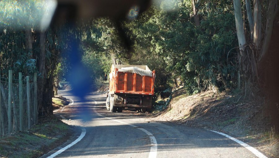 Denuncian que camiones siguen circulando por la cuesta de Colliguay en Quilpué a pesar de estar prohibido