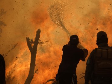 Emplazan a Esval a "asumir responsabilidades" tras masivas denuncias por falta de agua el día del megaincendio en Viña del Mar y Quilpué