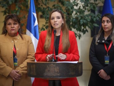 Diputada Flores y dirigentes circenses solicitan al Mineduc financiamiento para la educación a distancia de los niños de circo