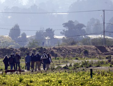 Limpieza del paño Las Salinas sigue en duda: Tribunal Ambiental visitó el terreno en Viña para resolver sobre legalidad de la resolución