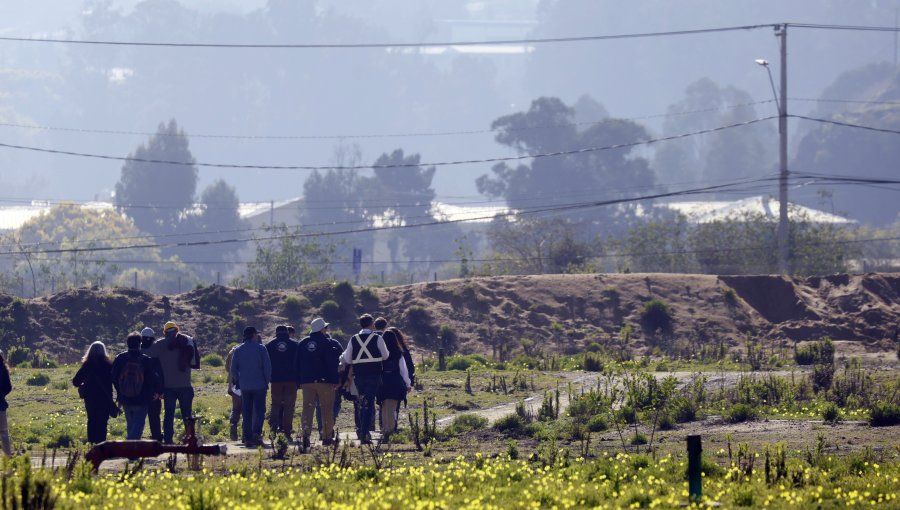 Limpieza del paño Las Salinas sigue en duda: Tribunal Ambiental visitó el terreno en Viña para resolver sobre legalidad de la resolución