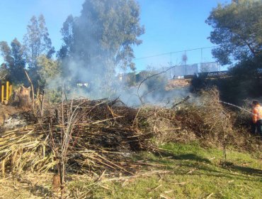 Municipio y Carabineros frenan peligrosa quema ilegal en sector alto de Viña del Mar