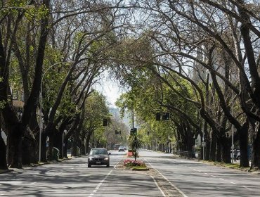 Este sábado se llevará a cabo una asamblea y votaciones para reactivar la Junta de Vecinos Viña Oriente