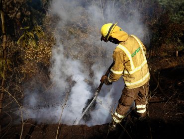 Comisión investigadora del megaincendio vota informe y apunta a Conaf: "Existen negligencias graves que podrían constituir delitos"