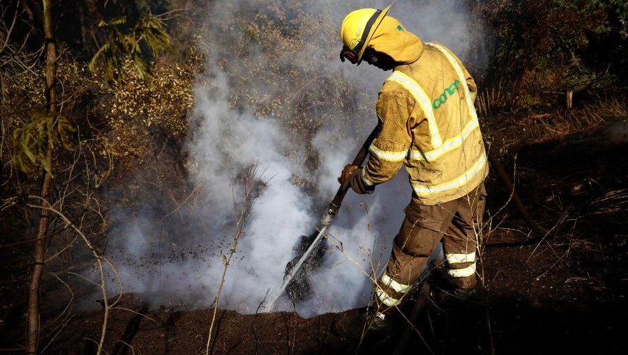 Comisión investigadora del megaincendio vota informe y apunta a Conaf: "Existen negligencias graves que podrían constituir delitos"