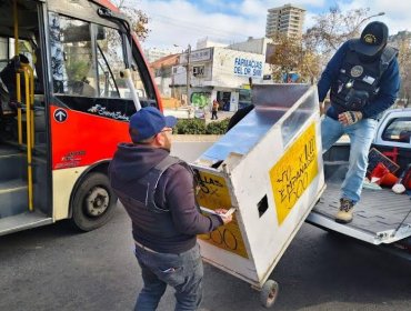 Más de 20 mil especies se han decomisado del mercado ilegal en Viña del Mar durante este año