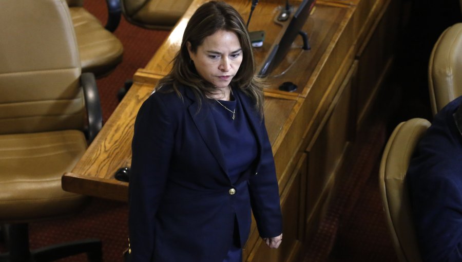 Diputada Pérez afirma que interpelación contra Ministro de Energía "es necesaria"