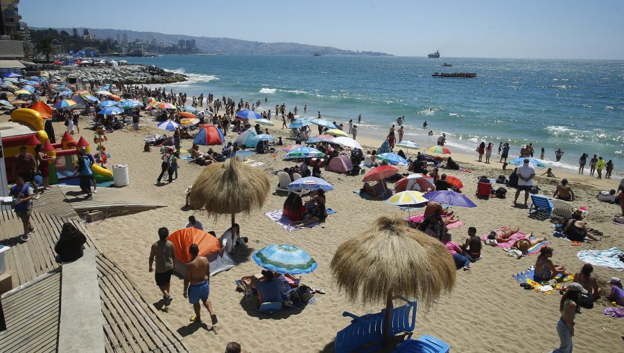 Concesionario de Las Torpederas lidera licitación de playa Acapulco y promete convertirla en “un destino de clase mundial”