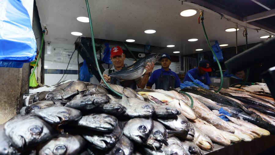 Investigación revela que chilenos consumen pescado menos de cuatro veces al mes