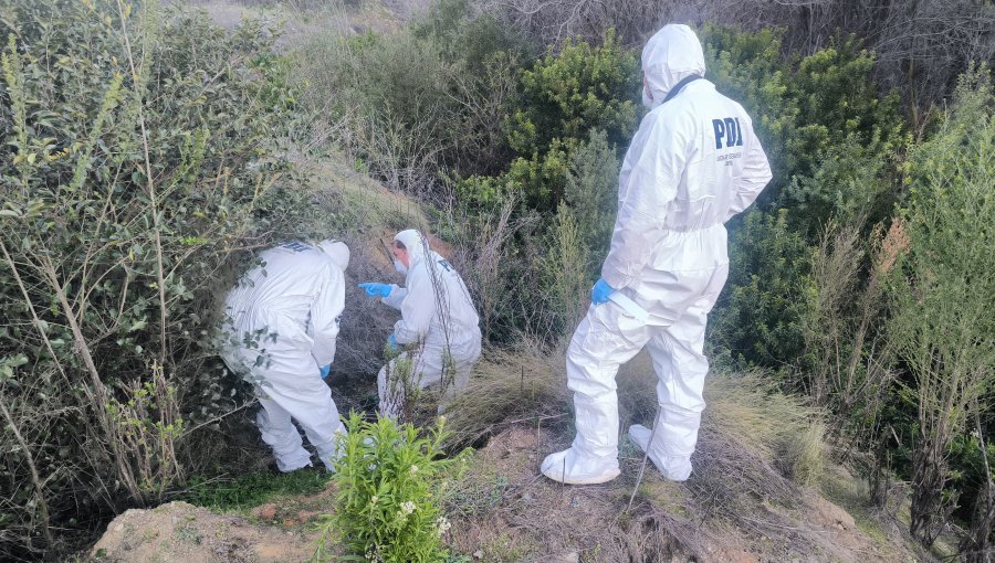 Hallan cadáver en avanzado estado de descomposición y con impactos de bala en el cráneo a un costado de la ruta 68 en Valparaíso