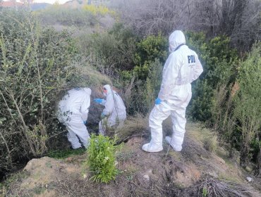 Hallan cadáver en avanzado estado de descomposición y con impactos de bala en el cráneo a un costado de la ruta 68 en Valparaíso